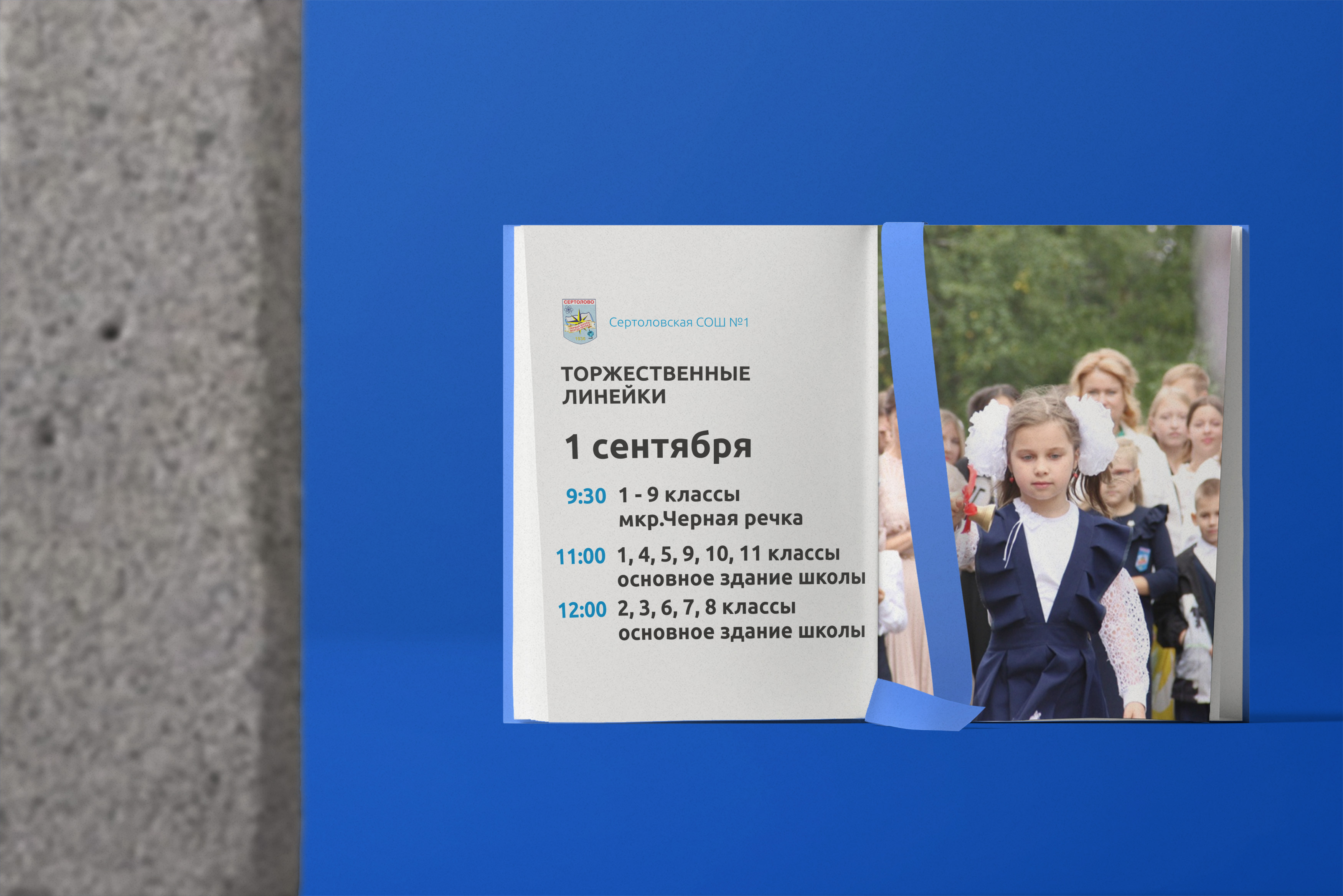 Торжественные линейки Торжественные линейки.